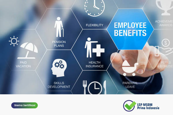Kepala-Bagian-Compensation-&-Benefits